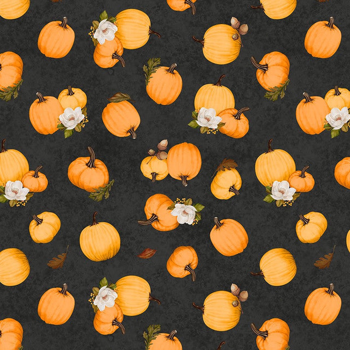 WL Pumpkins Black Oh my Gourd!